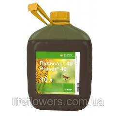 Гербіцид Пульсар 10л