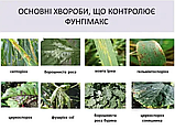 Фунгіцид Фунгімакс 10л, фото 3