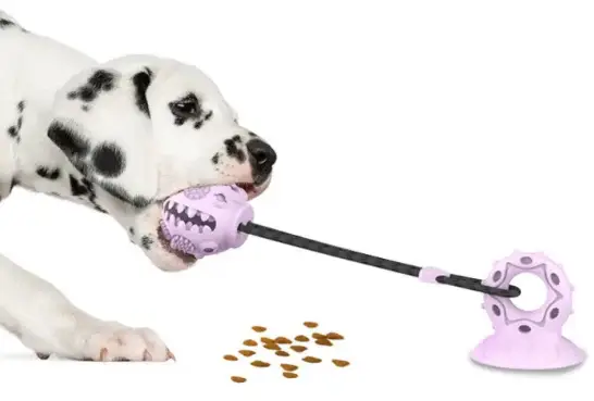 Игрушка мячик для собак мяч на веревке канат на присоске Игрушки для домашних животных жевательная - фото 1 - id-p1832145366