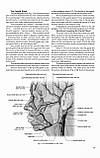 Topographical Anatomy and Operative Surgery =Топографічна анатомія та оперативна хір. — 3-тє вид. Цигінало О.В., фото 5