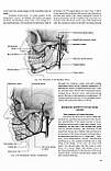 Topographical Anatomy and Operative Surgery =Топографічна анатомія та оперативна хір. — 3-тє вид. Цигінало О.В., фото 7