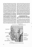 Topographical Anatomy and Operative Surgery =Топографічна анатомія та оперативна хір. — 3-тє вид. Цигінало О.В., фото 4