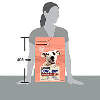 Сухий корм для дорослих собак Dog Chow Sensetive 2.5 кг (лосось), фото 3