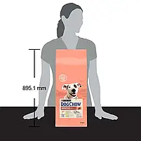 Сухий корм для дорослих собак Dog Chow Sensetive 14 кг (лосось), фото 9