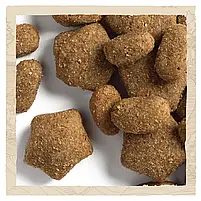 Сухий корм для дорослих собак Dog Chow Sensetive 14 кг (лосось), фото 8