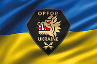 Флаг 214 Отдельного cпециального батальона «OPFOR» ВСУ 3D сине-желтый