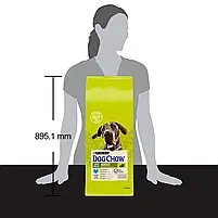 Сухий корм для дорослих собак великих порід Dog Chow Adult Large Breed Turkey 14 кг (індичка), фото 8