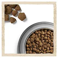 Сухий корм для дорослих собак великих порід Dog Chow Adult Large Breed Turkey 14 кг (індичка), фото 10