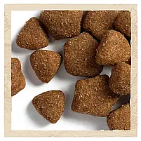 Сухий корм для дорослих собак великих порід Dog Chow Adult Large Breed Turkey 14 кг (індичка), фото 11