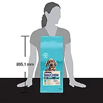 Сухий корм для цуценят та молодих собак великих порід Dog Chow Puppy Large Breed Turkey 14 кг (індичка), фото 5