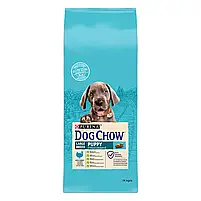Сухий корм для цуценят та молодих собак великих порід Dog Chow Puppy Large Breed Turkey 14 кг (індичка), фото 3
