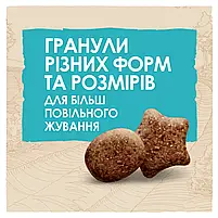 Сухий корм для цуценят та молодих собак великих порід Dog Chow Puppy Large Breed Turkey 14 кг (індичка), фото 6