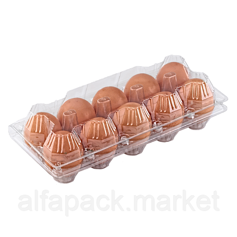 Пластиковая упаковка для яиц 10шт, 105х250х70 (600 шт в ящике) - фото 1 - id-p1832211362