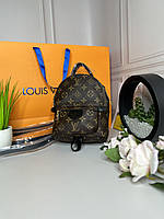 Женский Рюкзак Louis Vuitton Palm Springs mini Турция