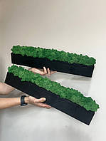 Набор из 2 деревянных чёрных кашпо со стабилизированным мхом зеленый 50*7*7 см