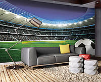 Флизелиновые фотообои футбол в интерьере 312x219 см Спорт 3Д Стадион и мяч (1915VEXXL)+клей