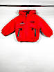 Демісезонна куртка для хлопчика від 2 до 6 років BOSD KIDS арт.823, Розмір дитячого одягу (порослі) 110, Колір, фото 2