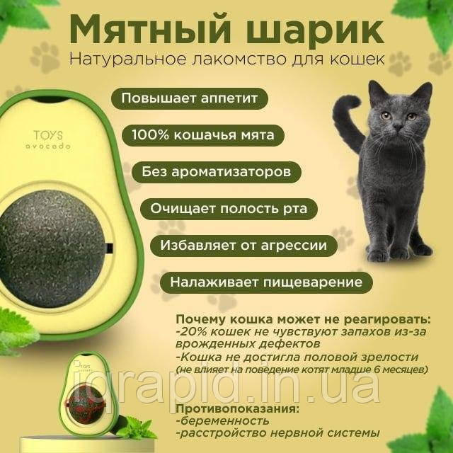 Кошачья мята игрушка вкусняшка шарик лизун для котов Авокадо. Заказ от 30 штук. Cat candy Avocado Catnip. - фото 7 - id-p1799465842