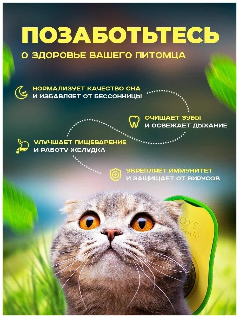 Кошачья мята, мятная игрушка для кошек и котов, шарик лакомство с кошачьей мятой. Заказ от 10 штук. - фото 10 - id-p1799465846