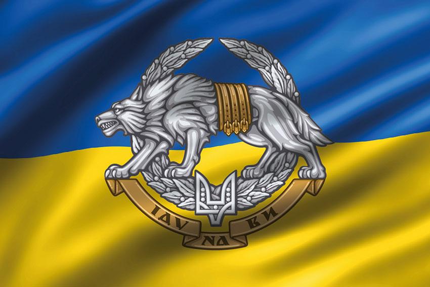 Прапор ССО України 3D синьо-жовтий