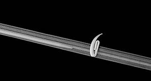 Тасьма римська 15 мм -150 м