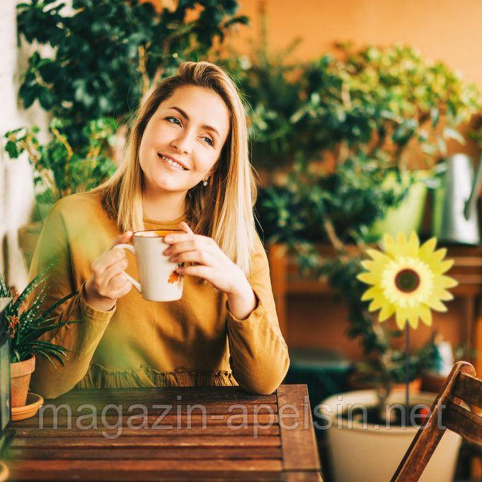 Er Set Windmill Sunflower