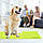 Зелений охолоджувальний килимок для собак, фото 7
