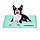 Бірюзовий охолоджуючий килимок для собак, фото 6