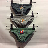 Труси дитячого "Teta" плавки котшечки, фото 5