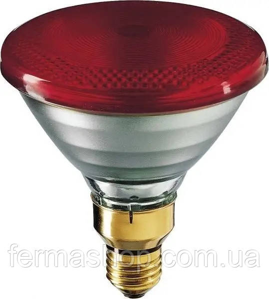 Лампа інфрачервона Smart Heat, PAR38, червона 100W