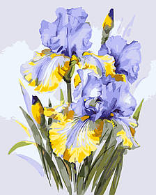 Картина за номерами Букет ірисів. Квіти  40*50 см Орігамі LW 31600