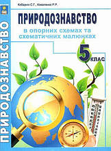 Природознавство 5 клас. В опорних схемах. Кобернік Р.Р. Абетка