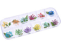 Набор сухоцветов для дизайна ногтей в прозрачной таре 12 шт Global Fashion цветы с листиками