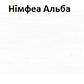 Кухня Оптіма К-3 (2,6 м/пог.), фасад антрацит + німфея альба (Еверест), фото 10