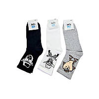 Шкарпетки  Let's GO!  Високі 41-45  Асорті