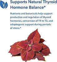 Allergy Research Thyroid Nutrition/ Нутрієнти для щитоподібної залози 60 капсул BX035, фото 7