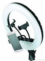 Кільцева лампа для селфи світлодіодна 36 см MJ36 (3 кріплення) (управління на проводі), фото 3