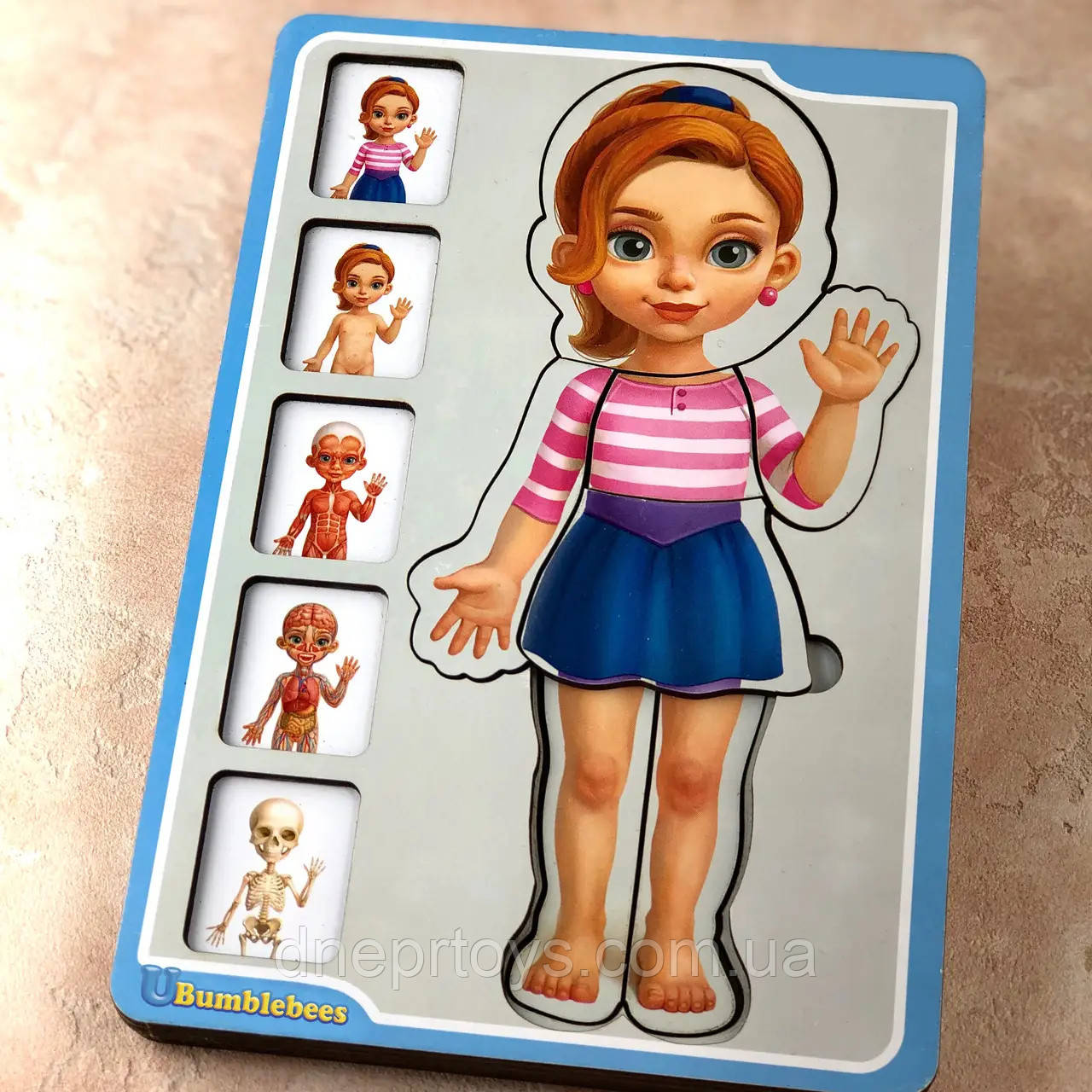 Пазл Анатомія людини, дівчинка, Ань-янь, дерево, 23 х 16 см., 38 дет. (ПСФ025), фото 1