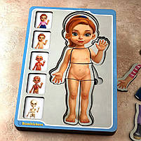 Пазл Анатомія людини, дівчинка, Ань-янь, дерево, 23 х 16 см., 38 дет. (ПСФ025), фото 4