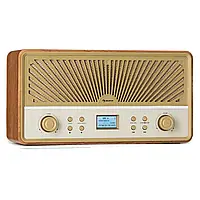 Радио приемник Auna Glastonbury Go DAB+/FM/BT Radio с встроенным аккумулятором Германия