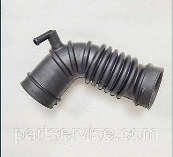 フレナーラ P_20170801_114002-scaled-