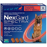 NexGard Spectra (Нексгард Спектра) таблетки жувальні від бліх, кліщів, глистів для собак від 30,1 до 60 кг (1 таблетка) Merial