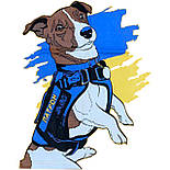 Футболка Пес Патрон 01.20.18, фото 4