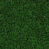 Штучна трава Betap Heatonparq 30 - ширина 2 і 4 метри /безкоштовна доставка/ - єВідновлення, фото 2