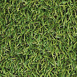 Штучна трава Betap Heatonparq 30 - ширина 2 і 4 метри /безкоштовна доставка/ - єВідновлення, фото 3