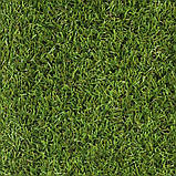 Штучна трава Betap Calderaparq 30 - ширина 4 і 5 метрів /безкоштовна доставка/ - єВідновлення, фото 2