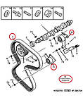 Комплект ГРМ Fiat Ducato 230, Peugeot Boxer, Citroen Jumper (1994-2002) 1.9D/TD (1905), 946726608, 083127, фото 6