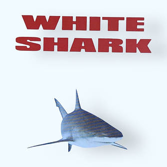 Рибальські гачки White Shark
