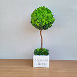 Дерево з моху. Топіарій з моху. Подарунок на день народження. 33-34 см висотою, фото 4