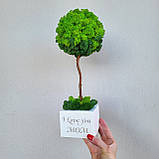 Дерево з моху. Топіарій з моху. Подарунок на день народження. 33-34 см висотою, фото 7